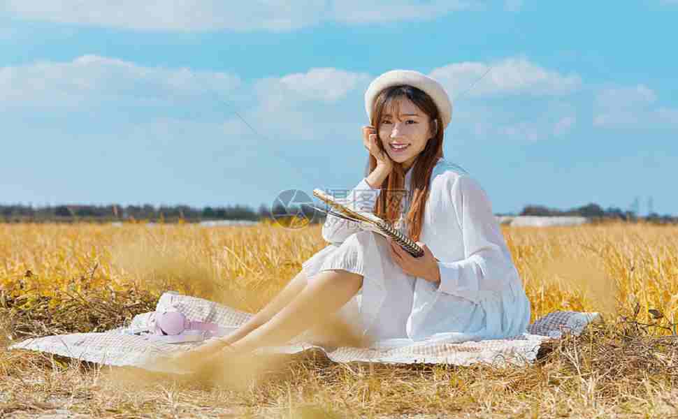 小偷程序 镜像站群